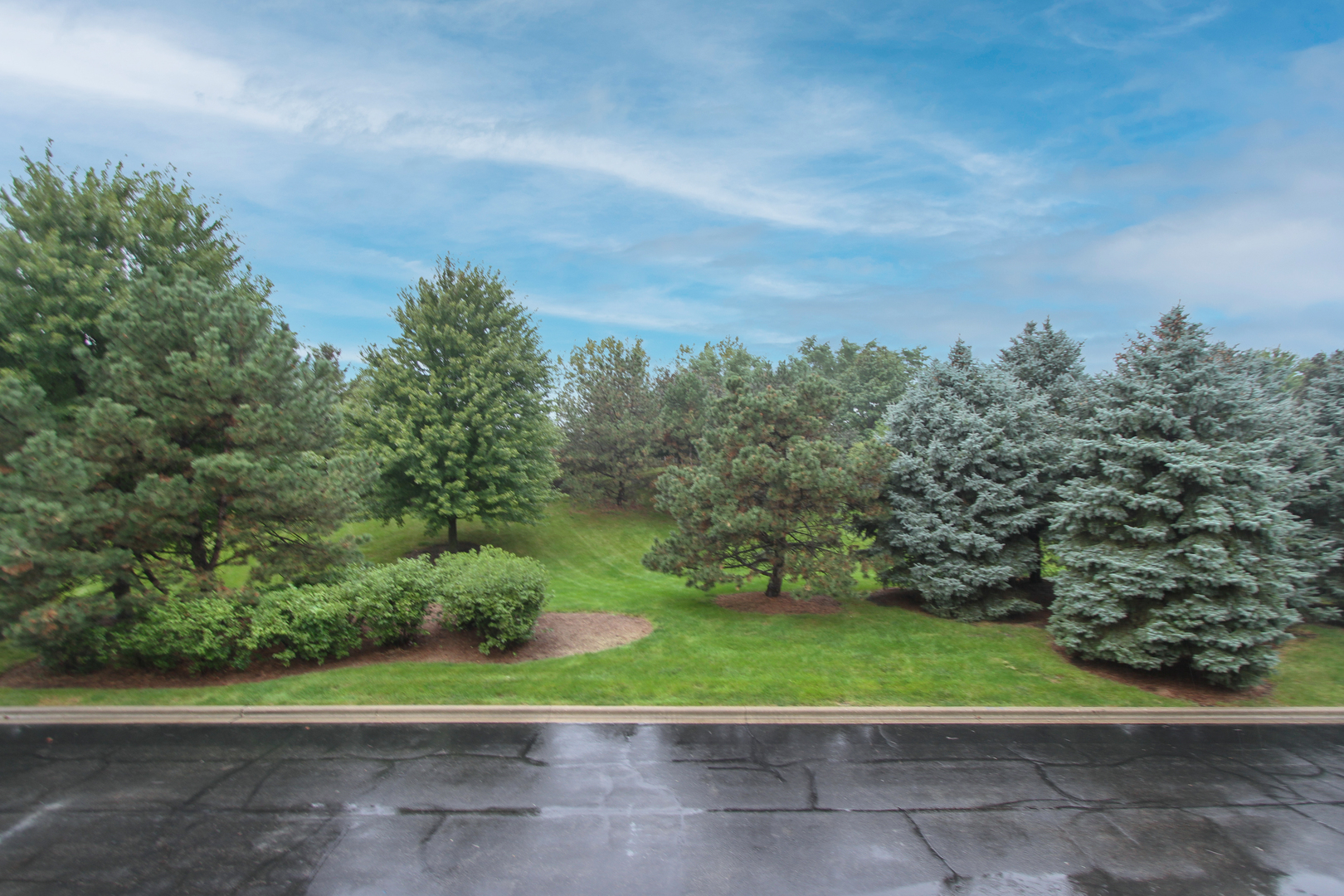 734 Thornbury Road Property Photo 28