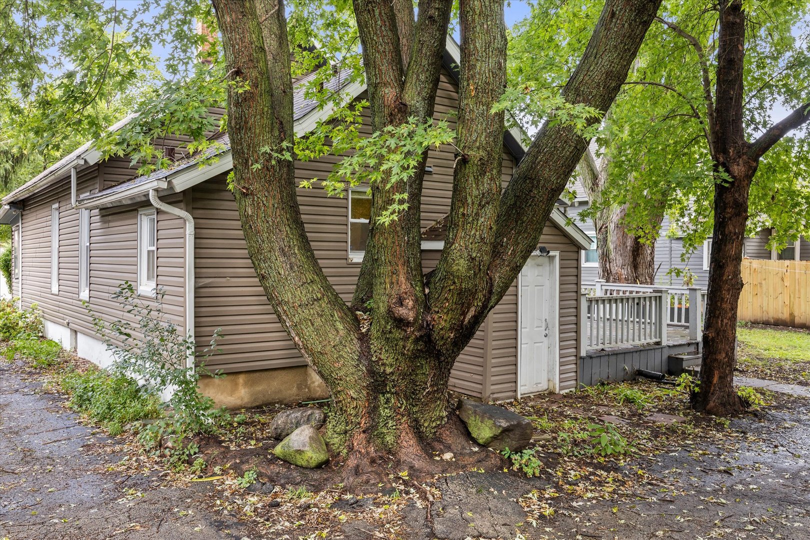 311 Orange Street Property Photo 20