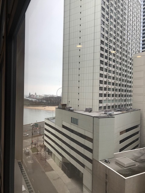 680 N Lake Shore Drive 711 Property Photo 18