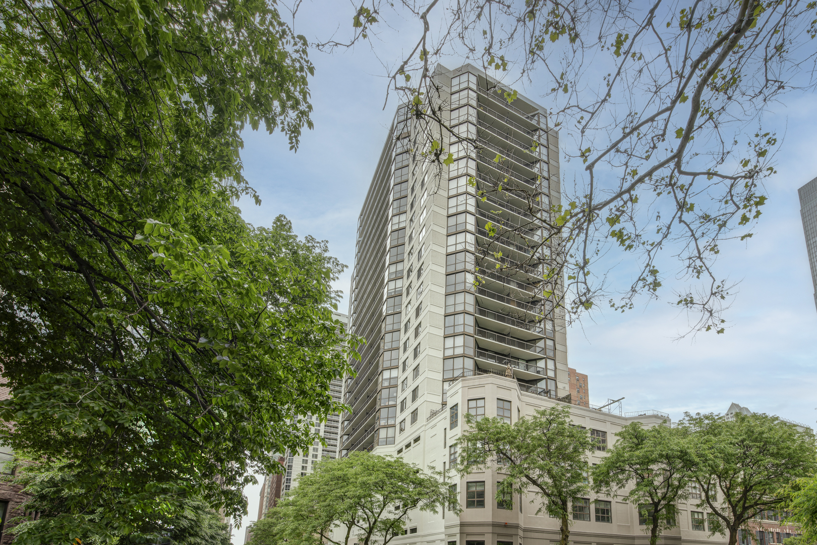 33 W Delaware Place 19h Property Photo 3