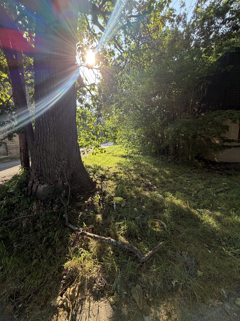 6644 S May Street Property Photo 1