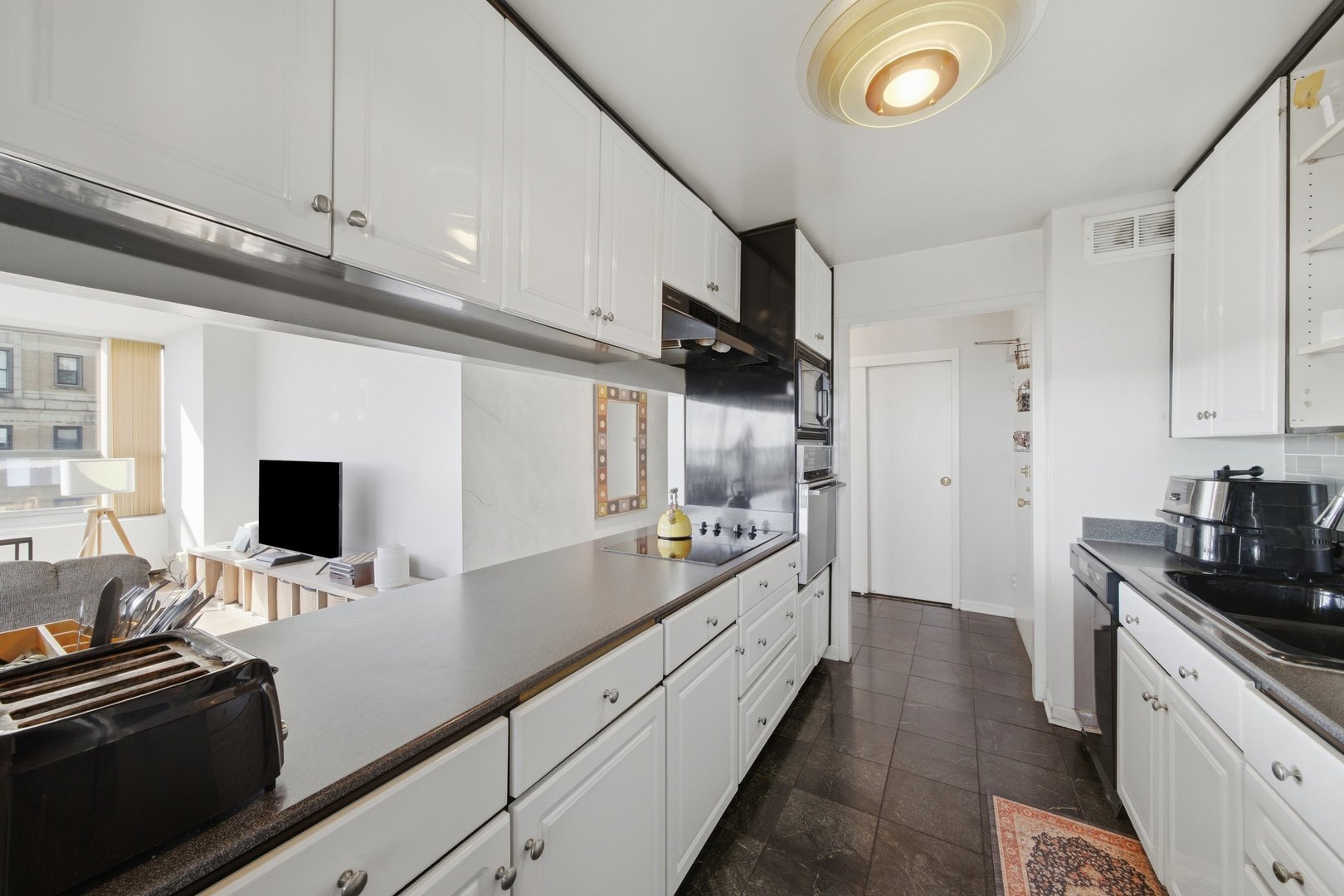 3550 N Lake Shore Drive 1202 Property Photo 12