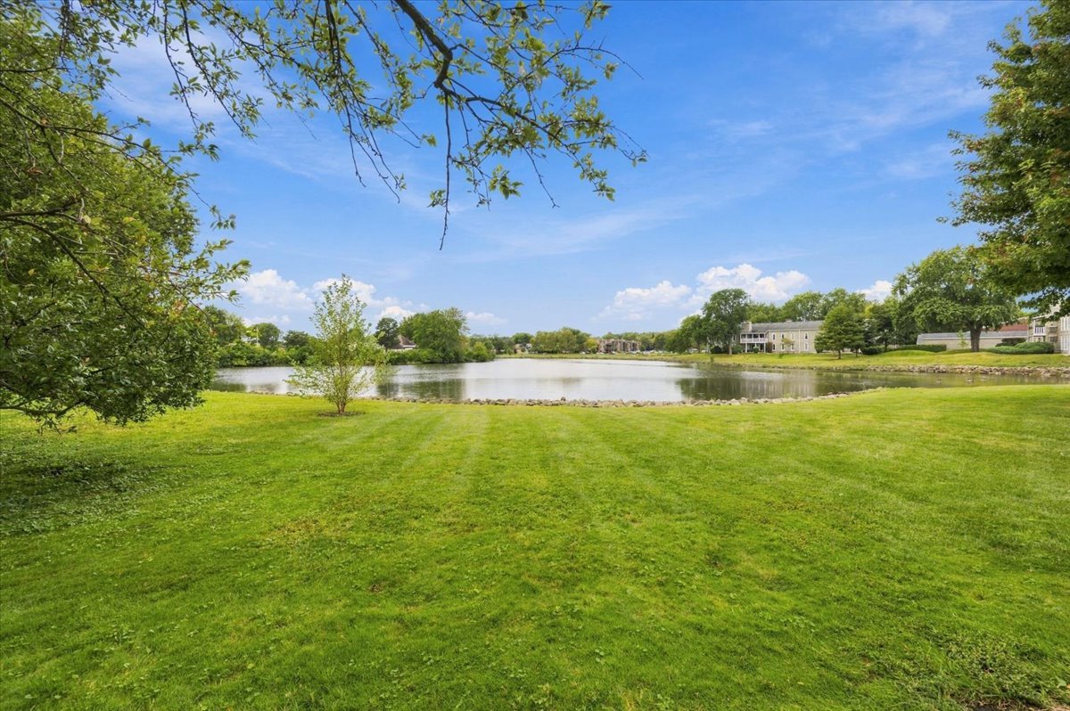 12763442 Property Photo 5
