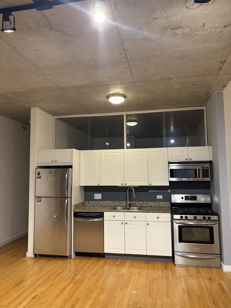 1720 S Michigan Avenue 3105 Property Photo 6