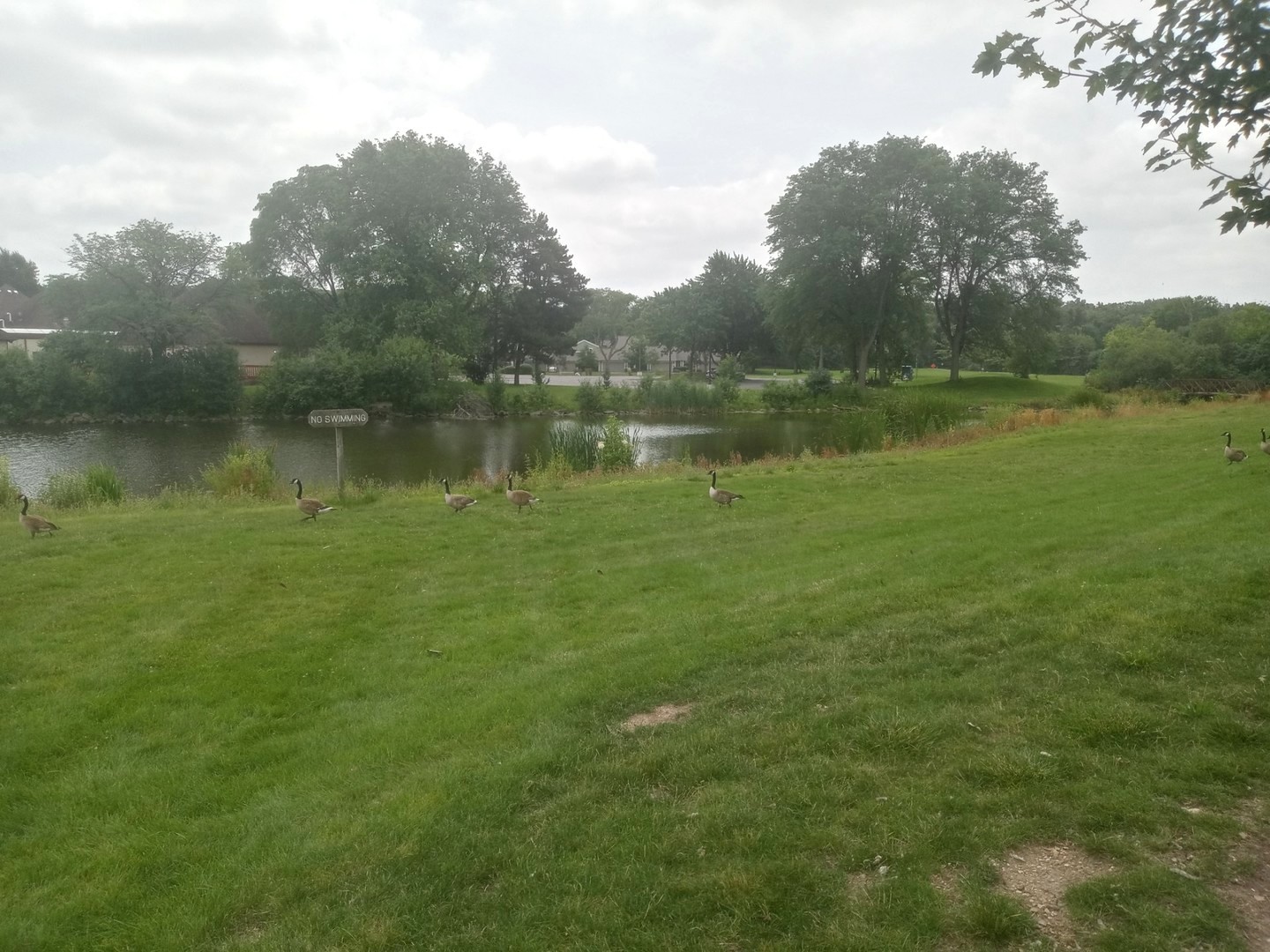 1480 Stonebridge Circle D-1 Property Photo 18