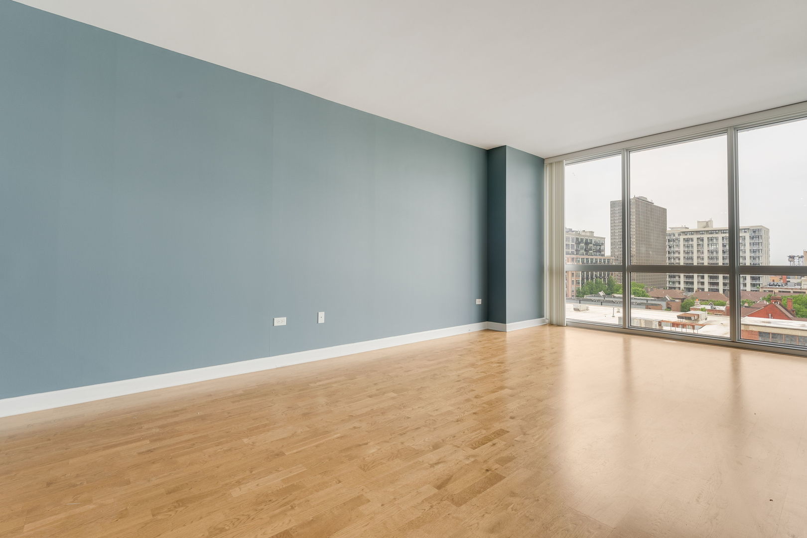 1901 S Calumet Avenue 809 Property Photo 3