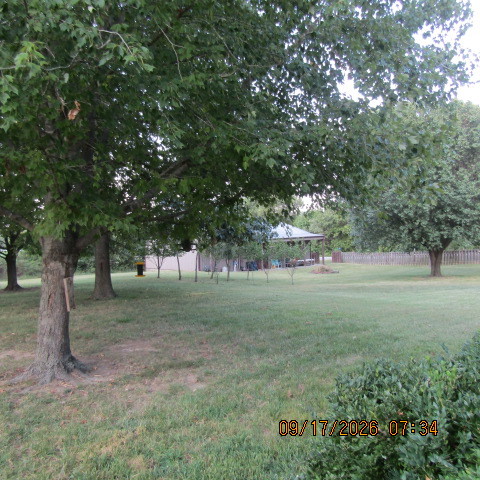 12001 Forest Baptist Church Road Property Photo 17