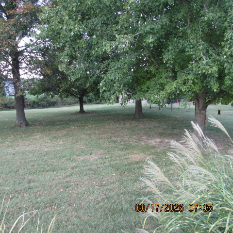 12001 Forest Baptist Church Road Property Photo 19