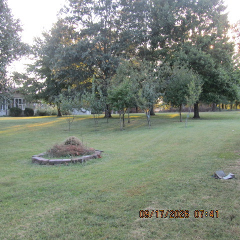12001 Forest Baptist Church Road Property Photo 21
