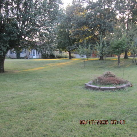 12001 Forest Baptist Church Road Property Photo 23