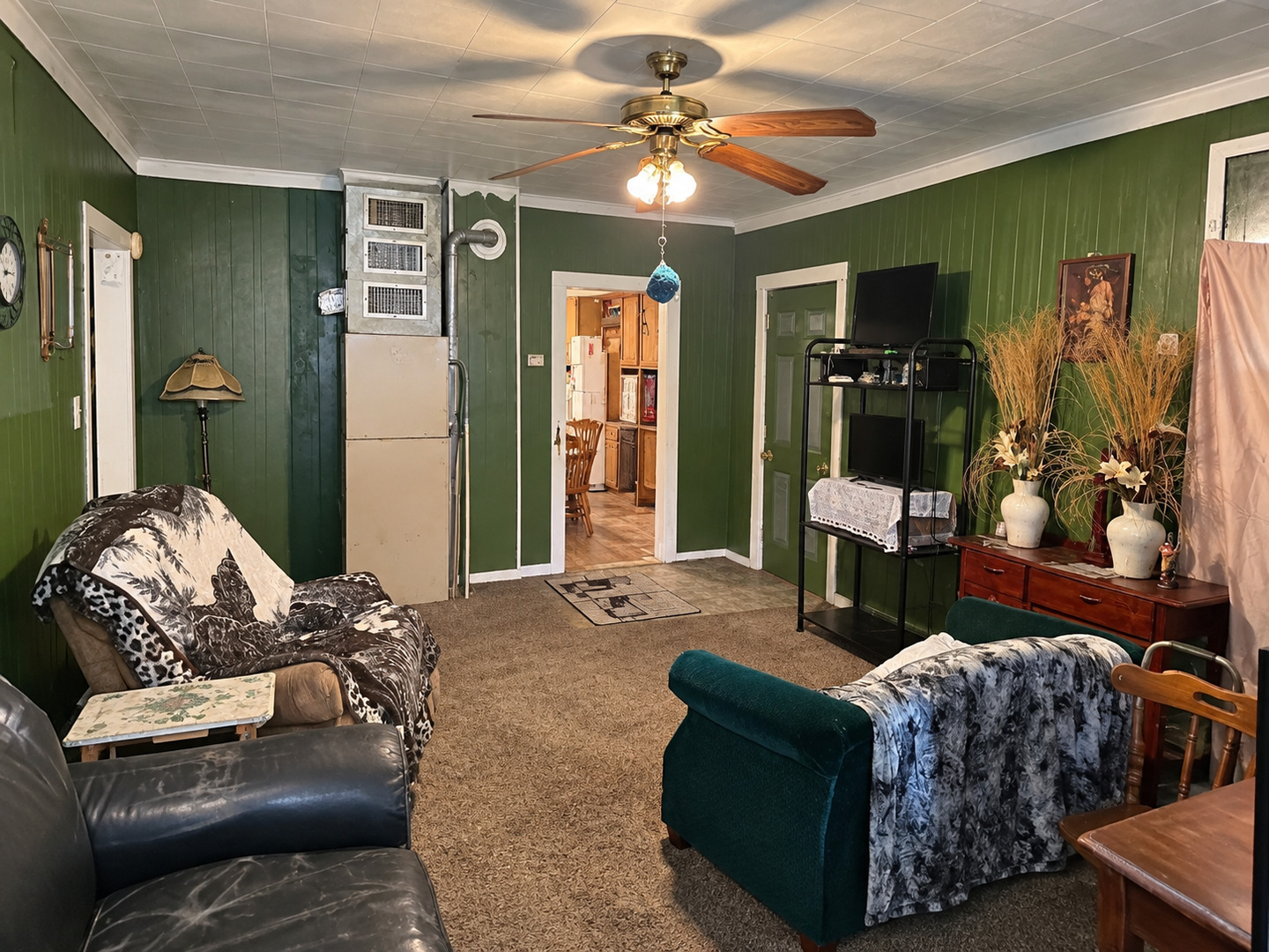 341 Mclean Street Property Photo 5
