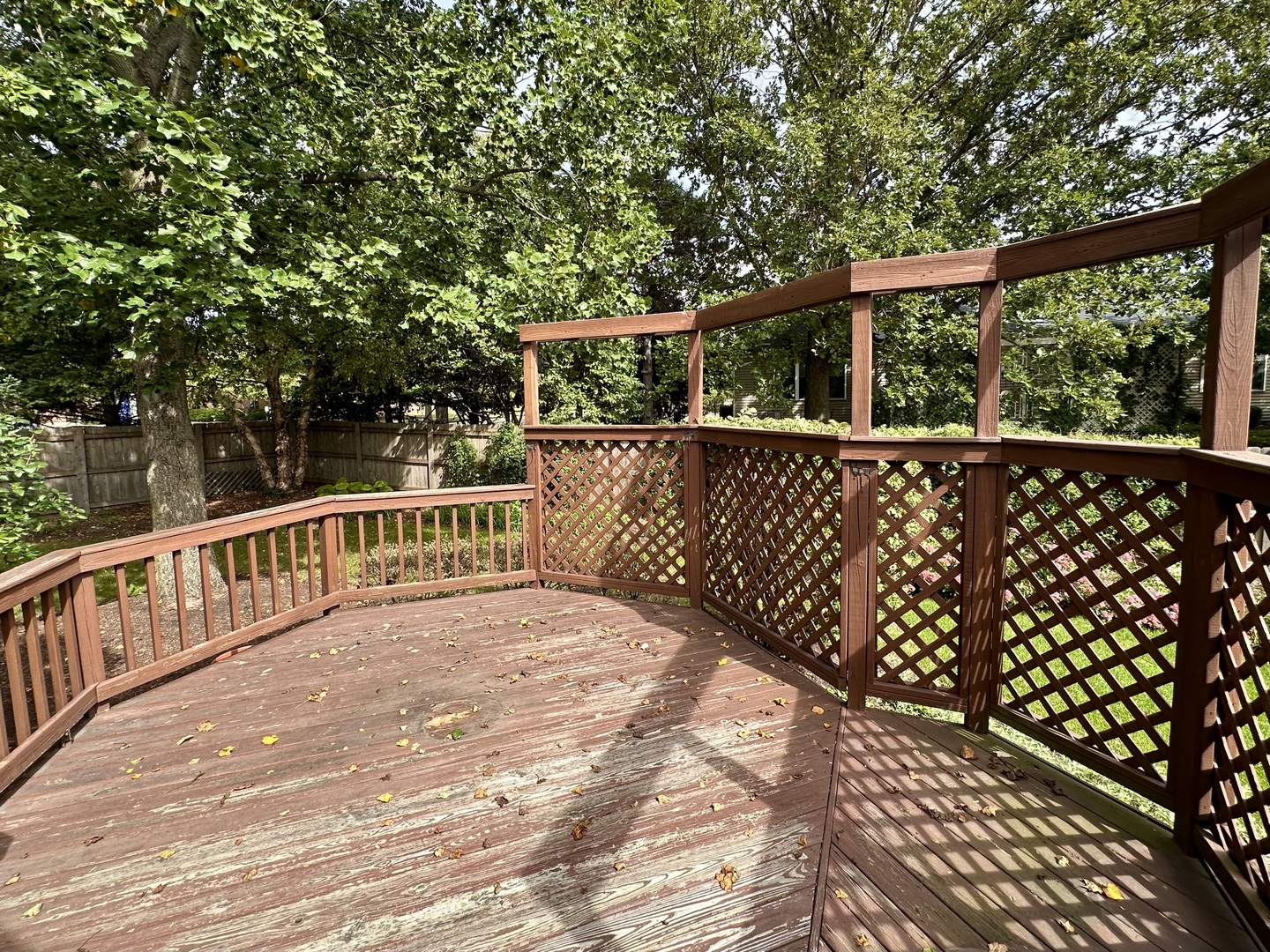 1896 School House Lane Property Photo 23