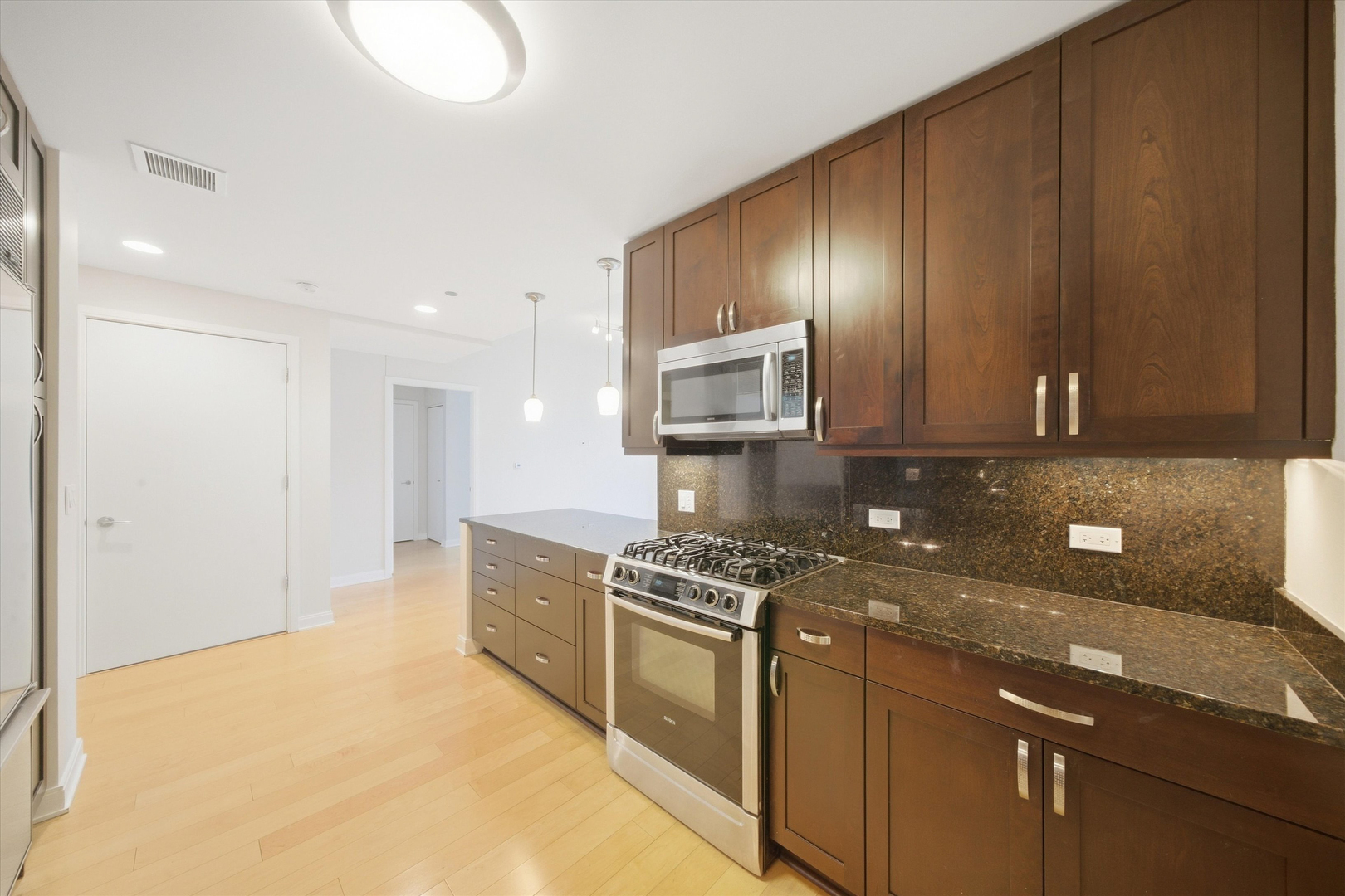 60 E Monroe Street 3306 Property Photo 10