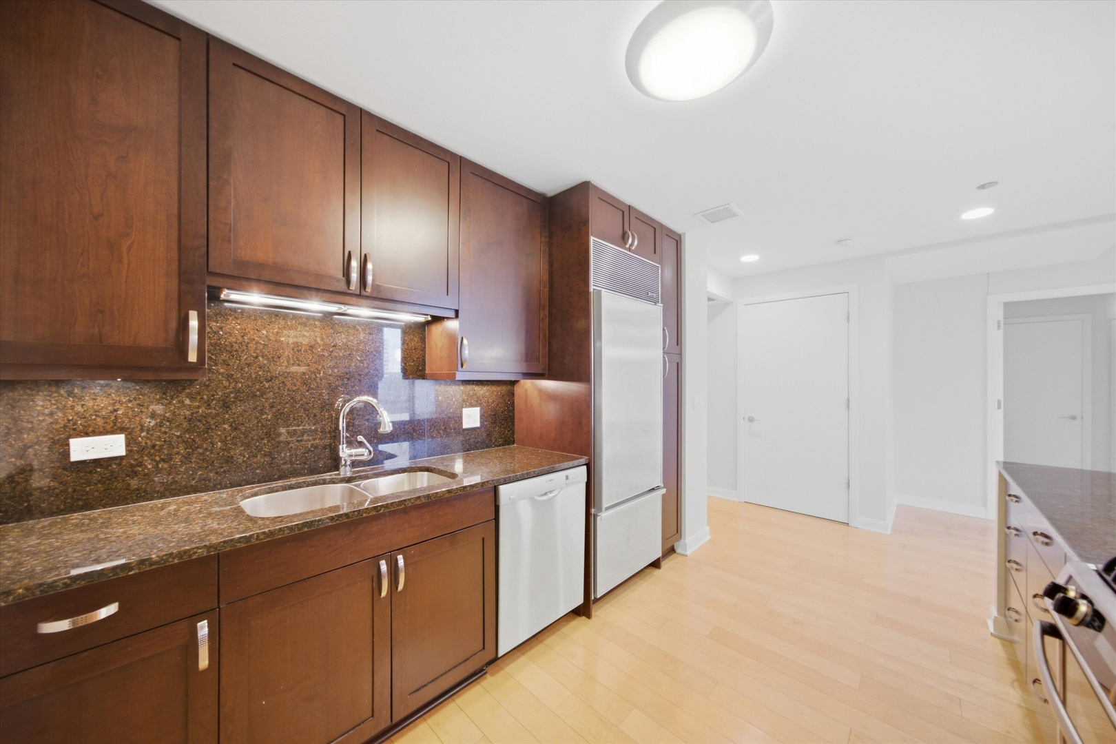 60 E Monroe Street 3306 Property Photo 11
