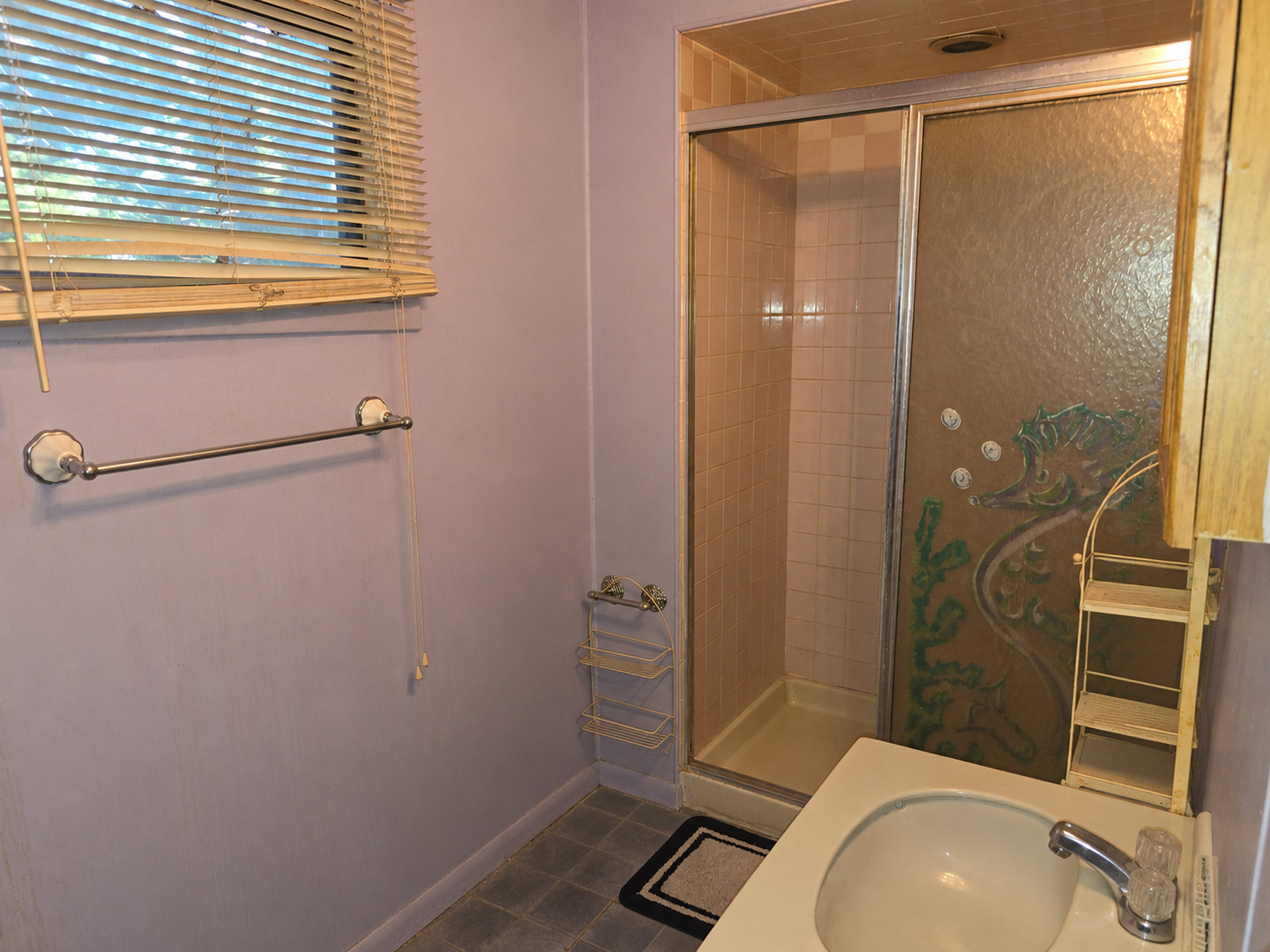132 Shabbona Drive Property Photo 16