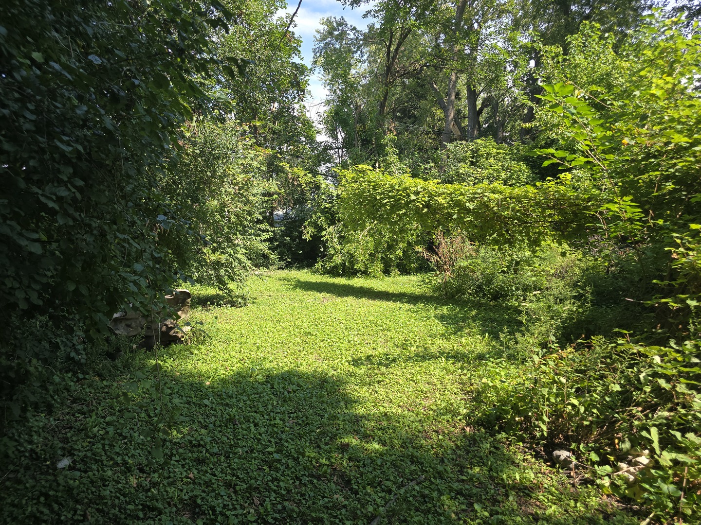132 Shabbona Drive Property Photo 22
