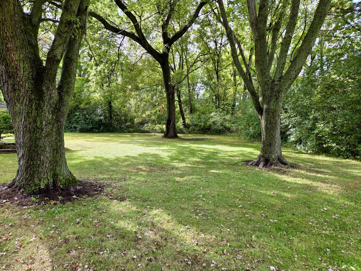 2n720 Woodcrest Drive Property Photo 41
