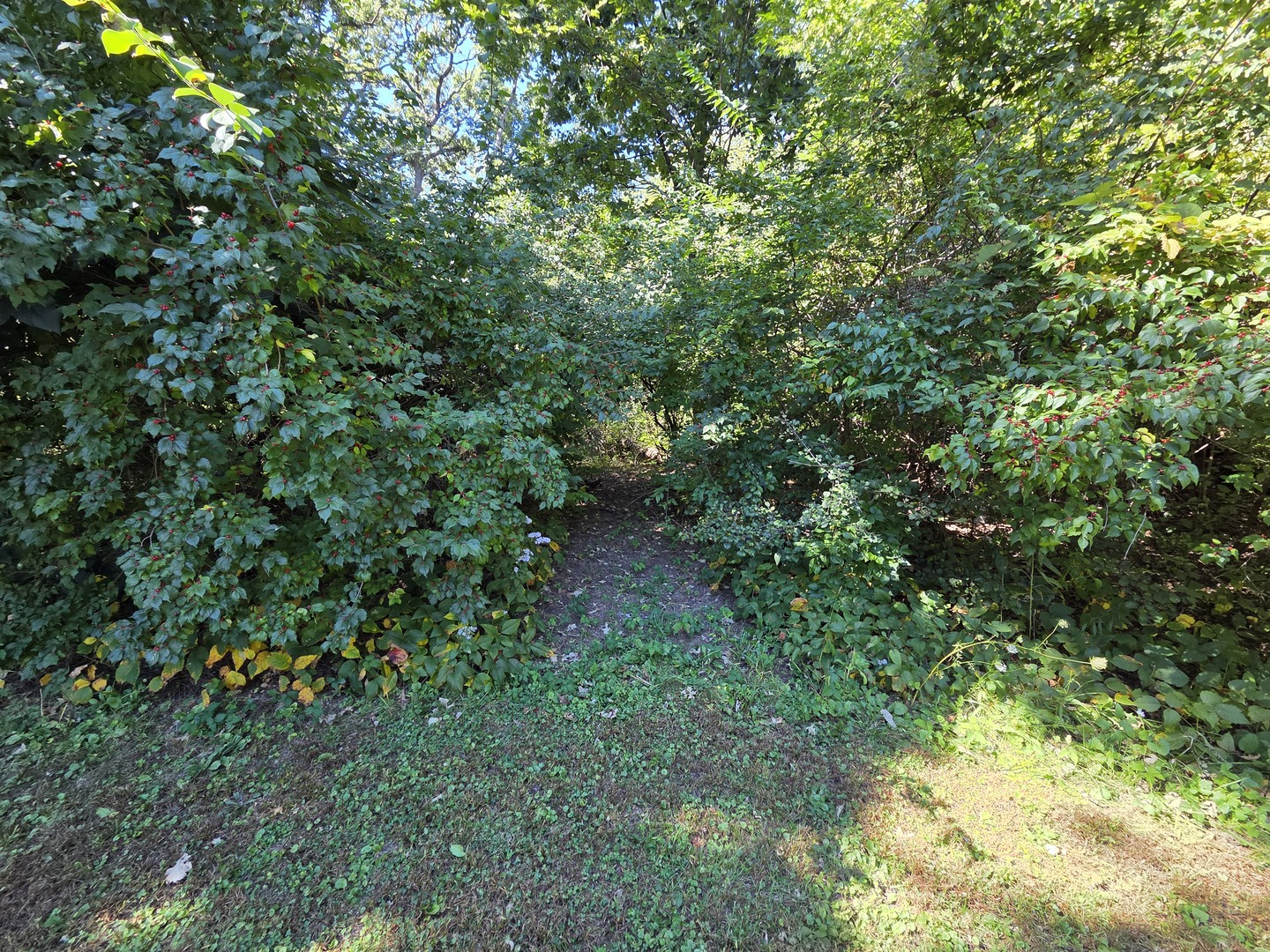 2n720 Woodcrest Drive Property Photo 43