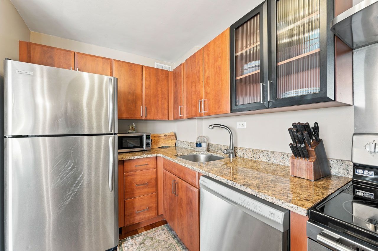 1355 N Sandburg Terrace 1801d Property Photo 11