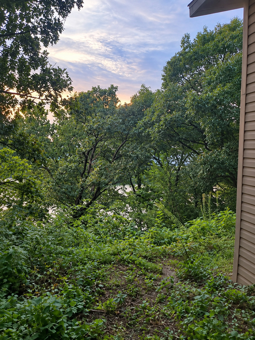11771 Hacklers Subdivision Road Property Photo 4