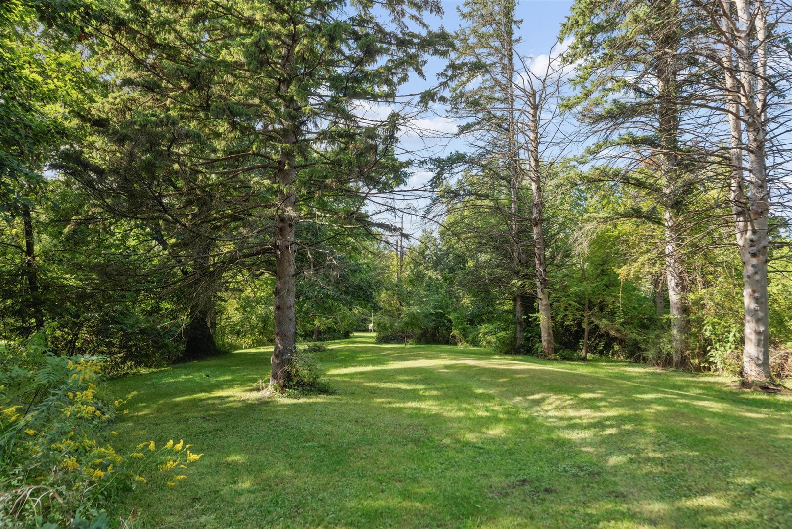 27665 Schafer Road Property Photo 64