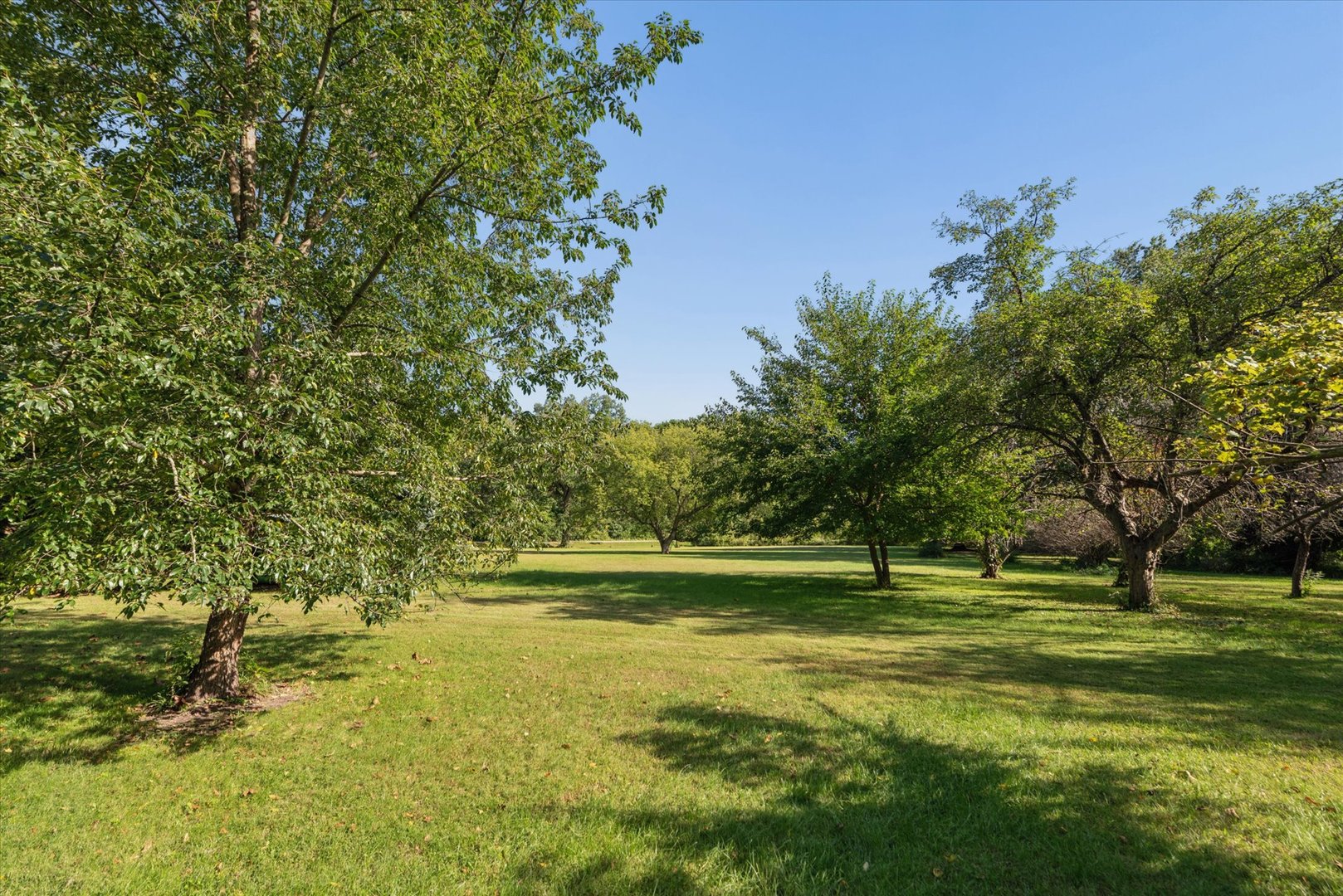 27665 Schafer Road Property Photo 68