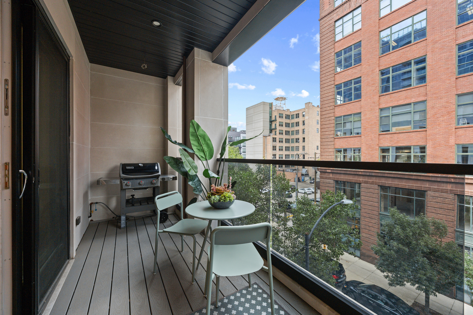 226 S Green Street 3n Property Photo 5