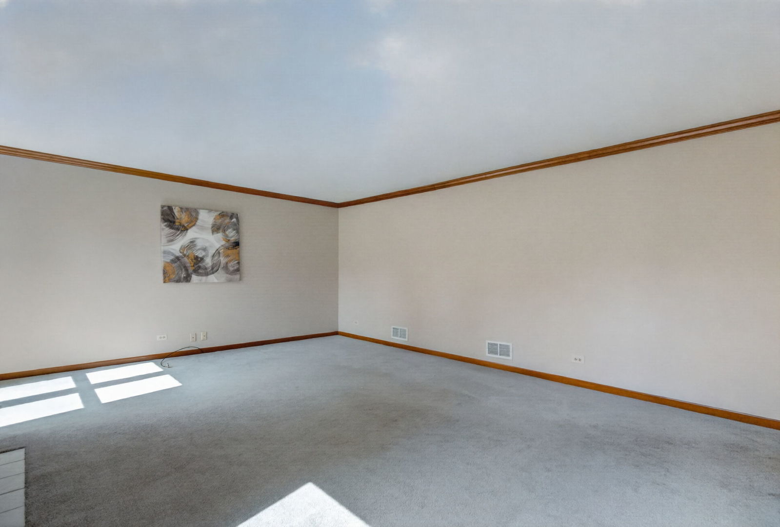 13311 S Columbine Circle Property Photo 24