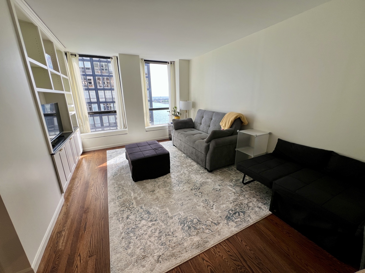 260 E Chestnut Street 1511 Property Photo 8