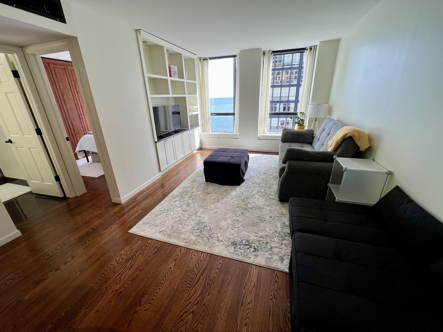 260 E Chestnut Street 1511 Property Photo 12