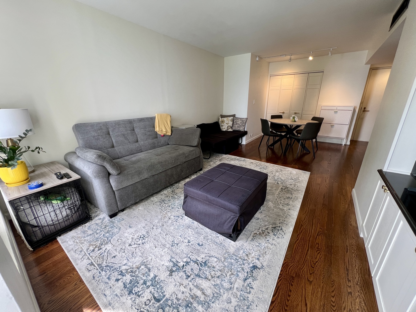 260 E Chestnut Street 1511 Property Photo 14