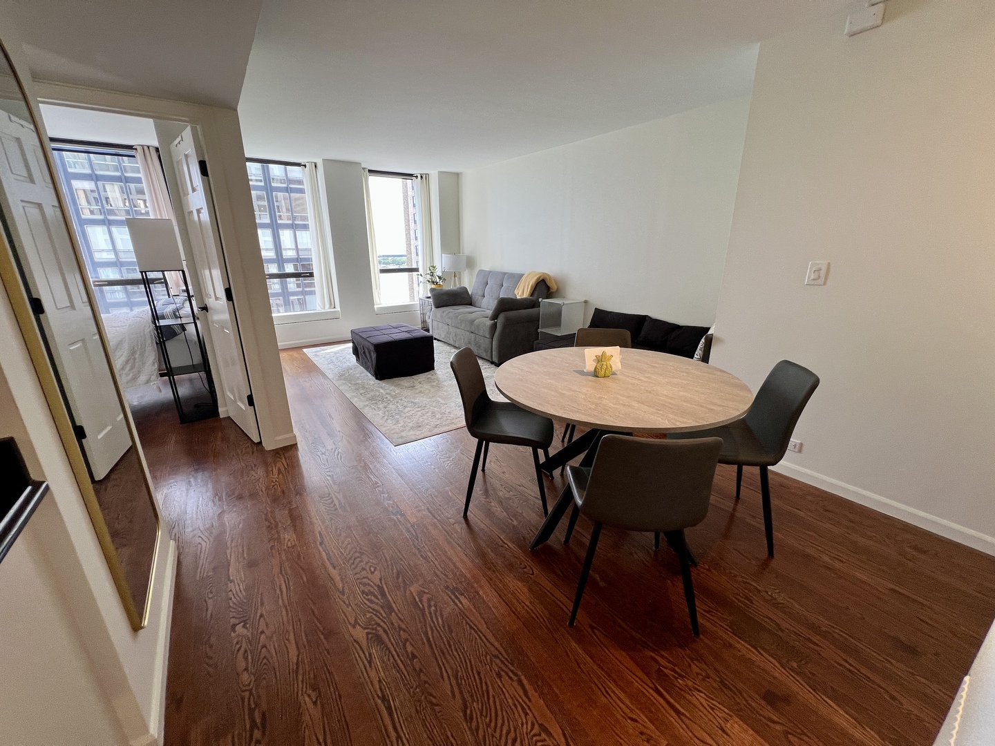 260 E Chestnut Street 1511 Property Photo 15