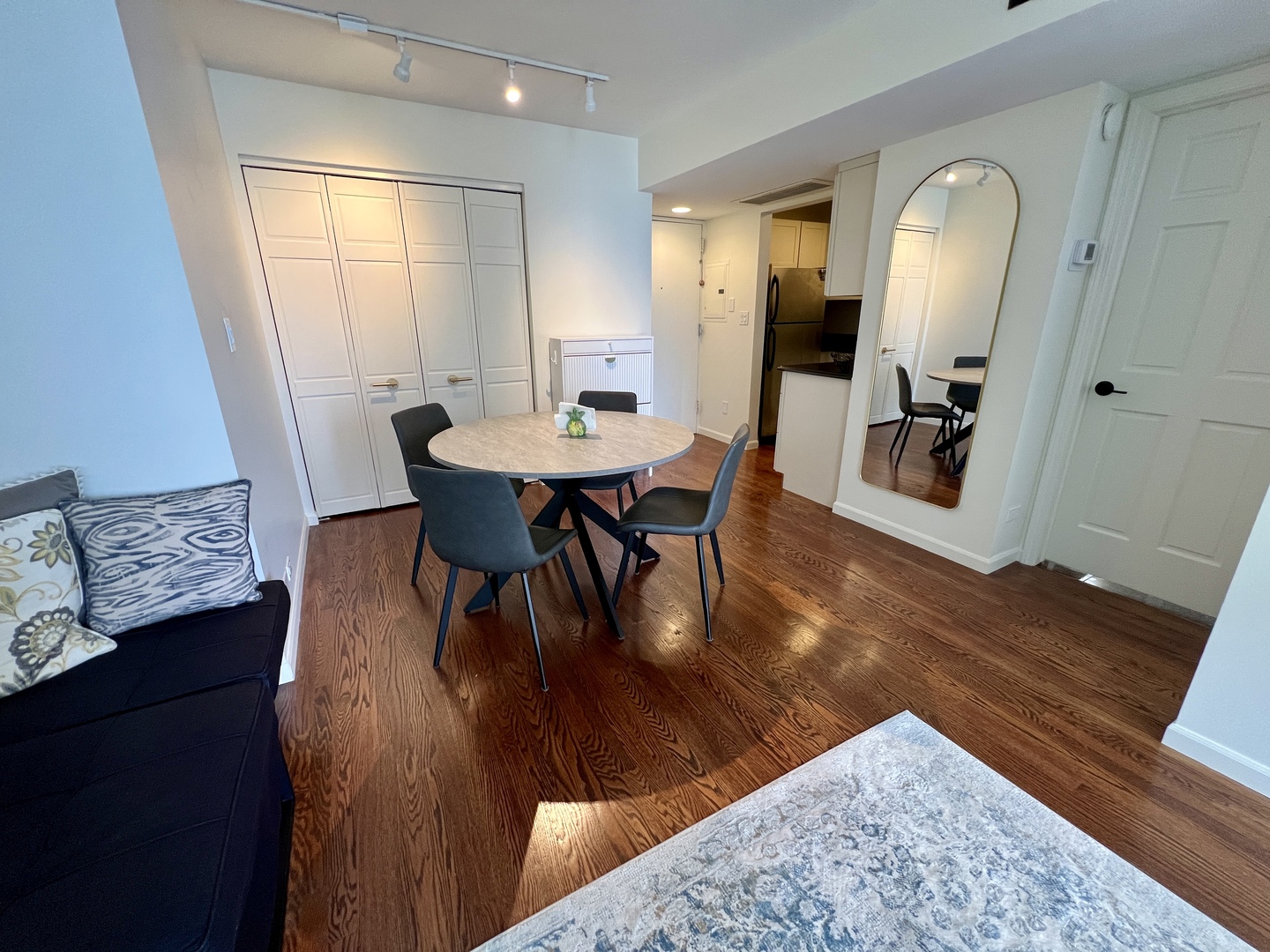 260 E Chestnut Street 1511 Property Photo 17