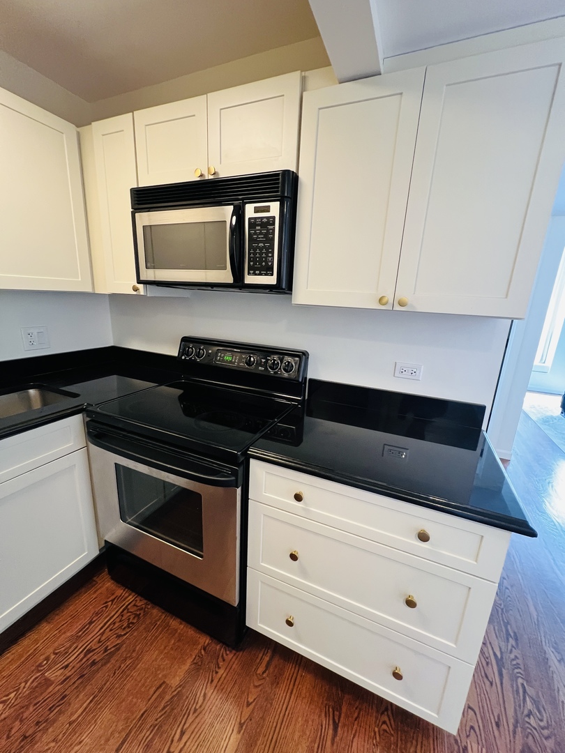260 E Chestnut Street 1511 Property Photo 19