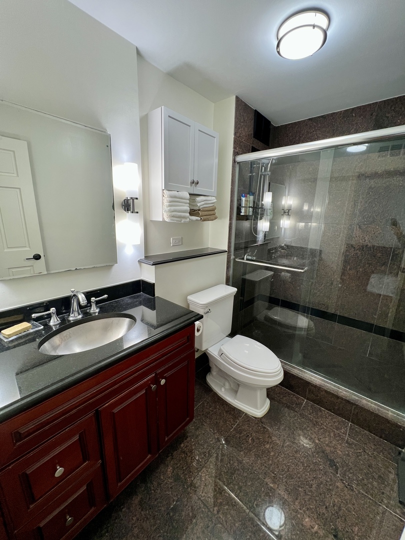 260 E Chestnut Street 1511 Property Photo 25