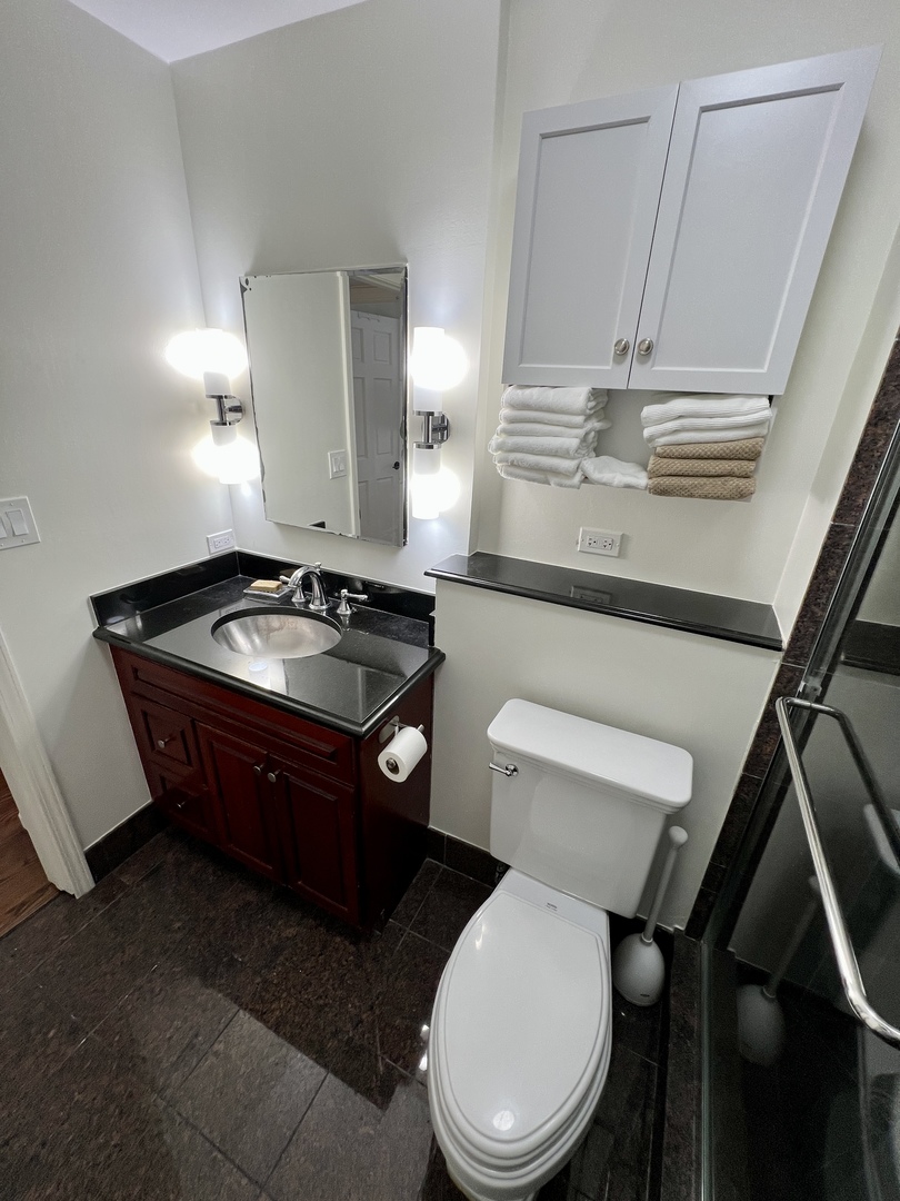 260 E Chestnut Street 1511 Property Photo 26