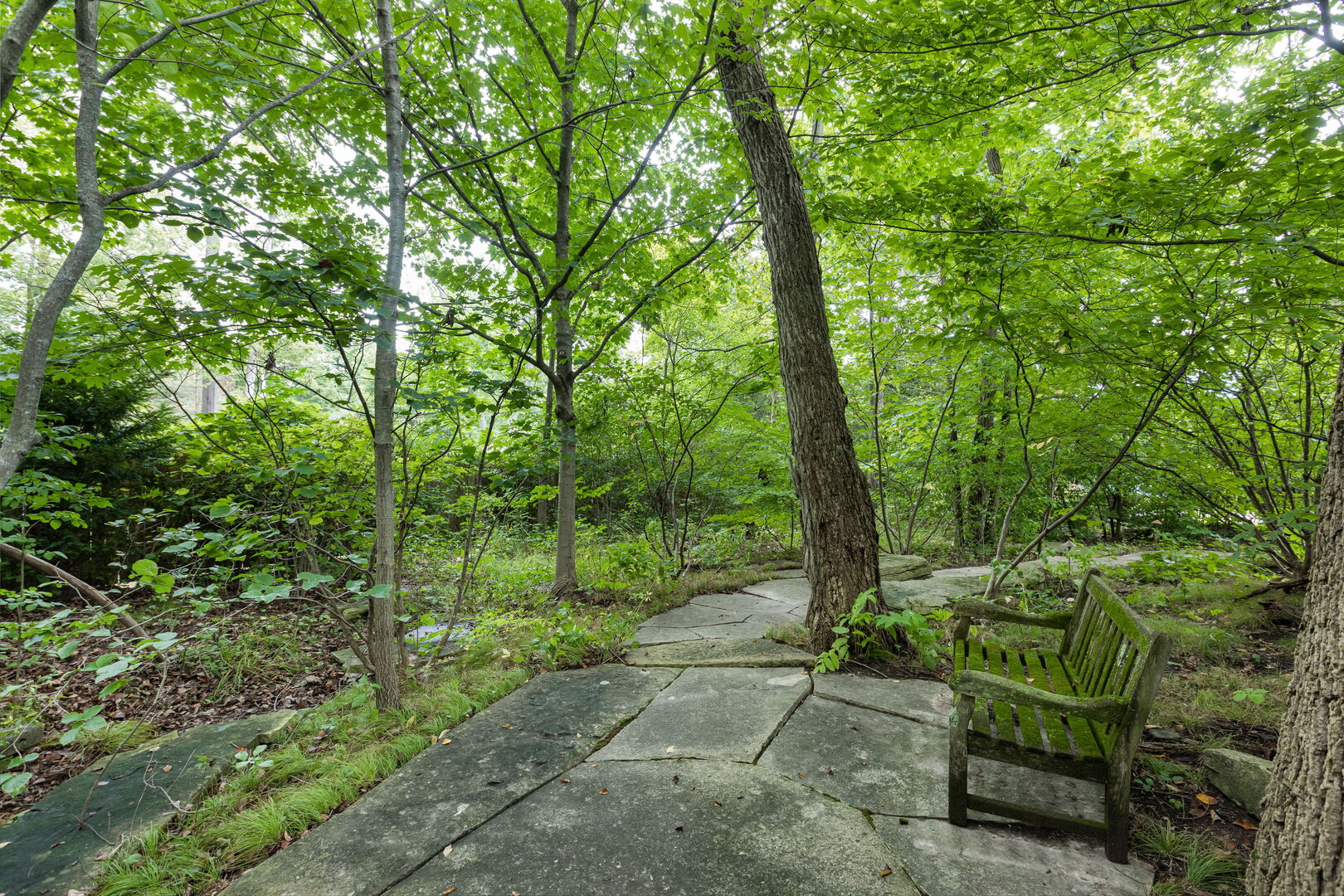1070 Meadow Lane Property Photo 47