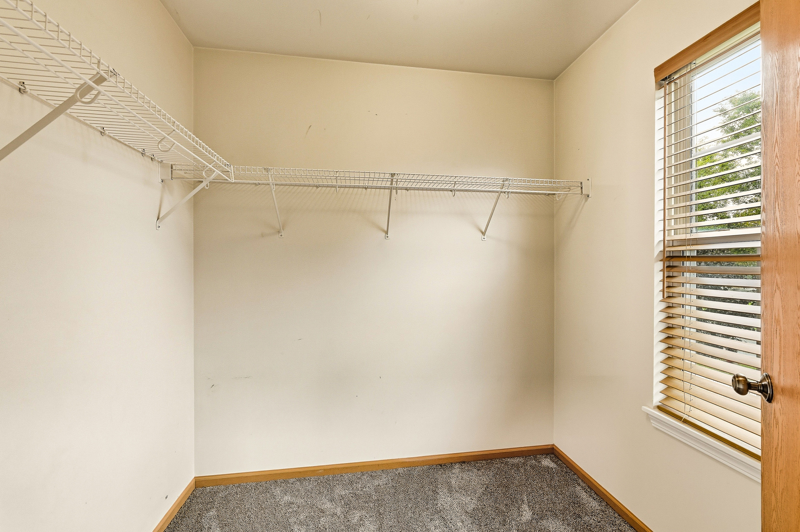 427 Alyssa Street Property Photo 16