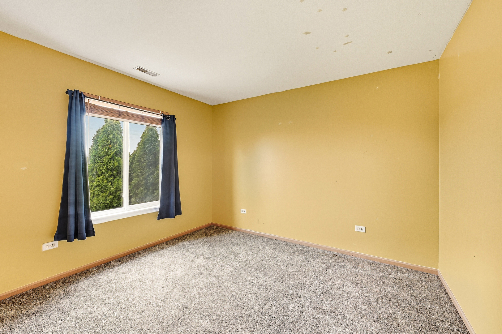 427 Alyssa Street Property Photo 17