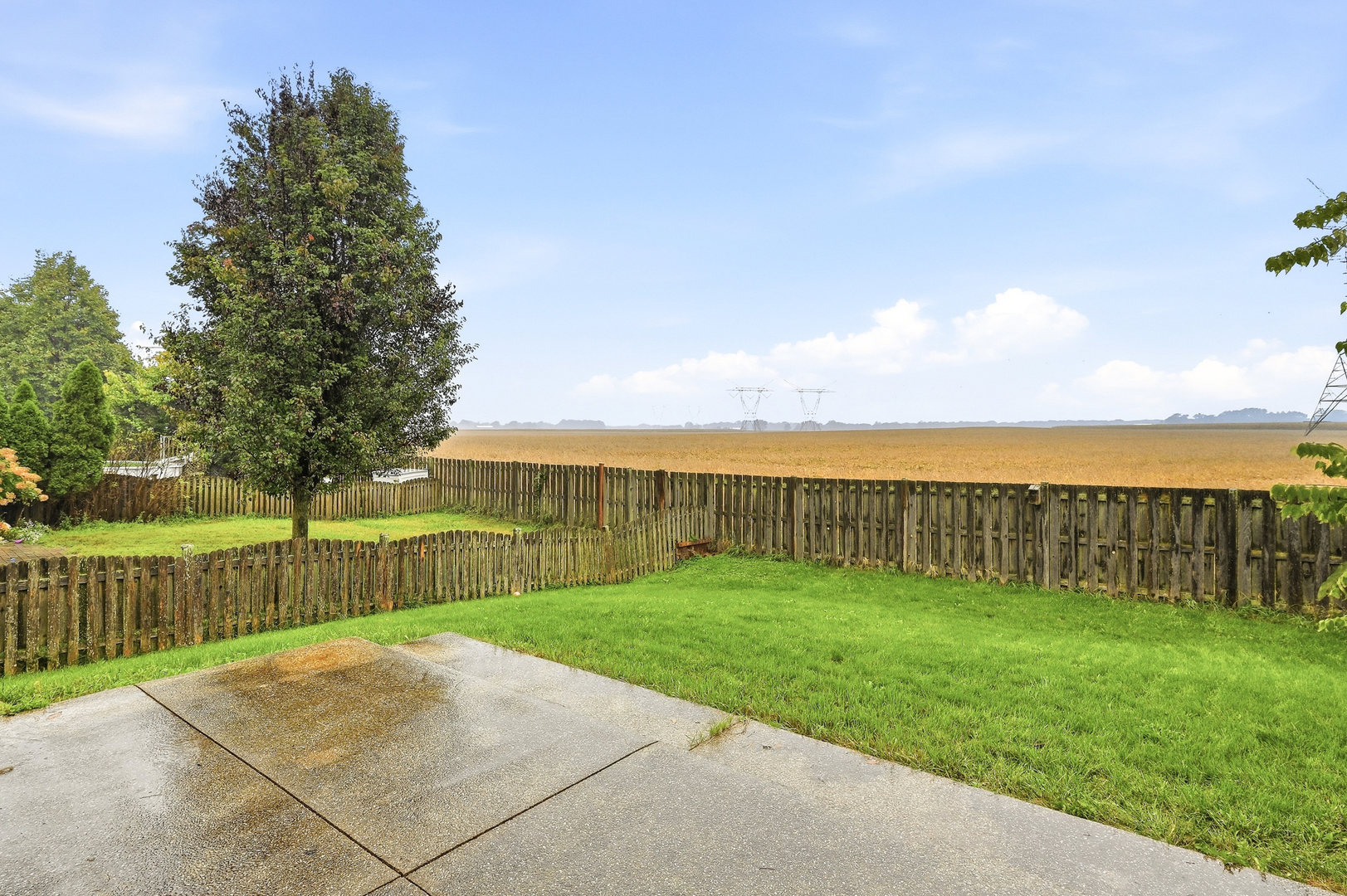 427 Alyssa Street Property Photo 21