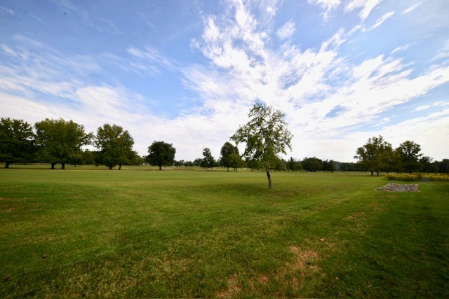 1010 Mulligan Drive 1010 Property Photo 29