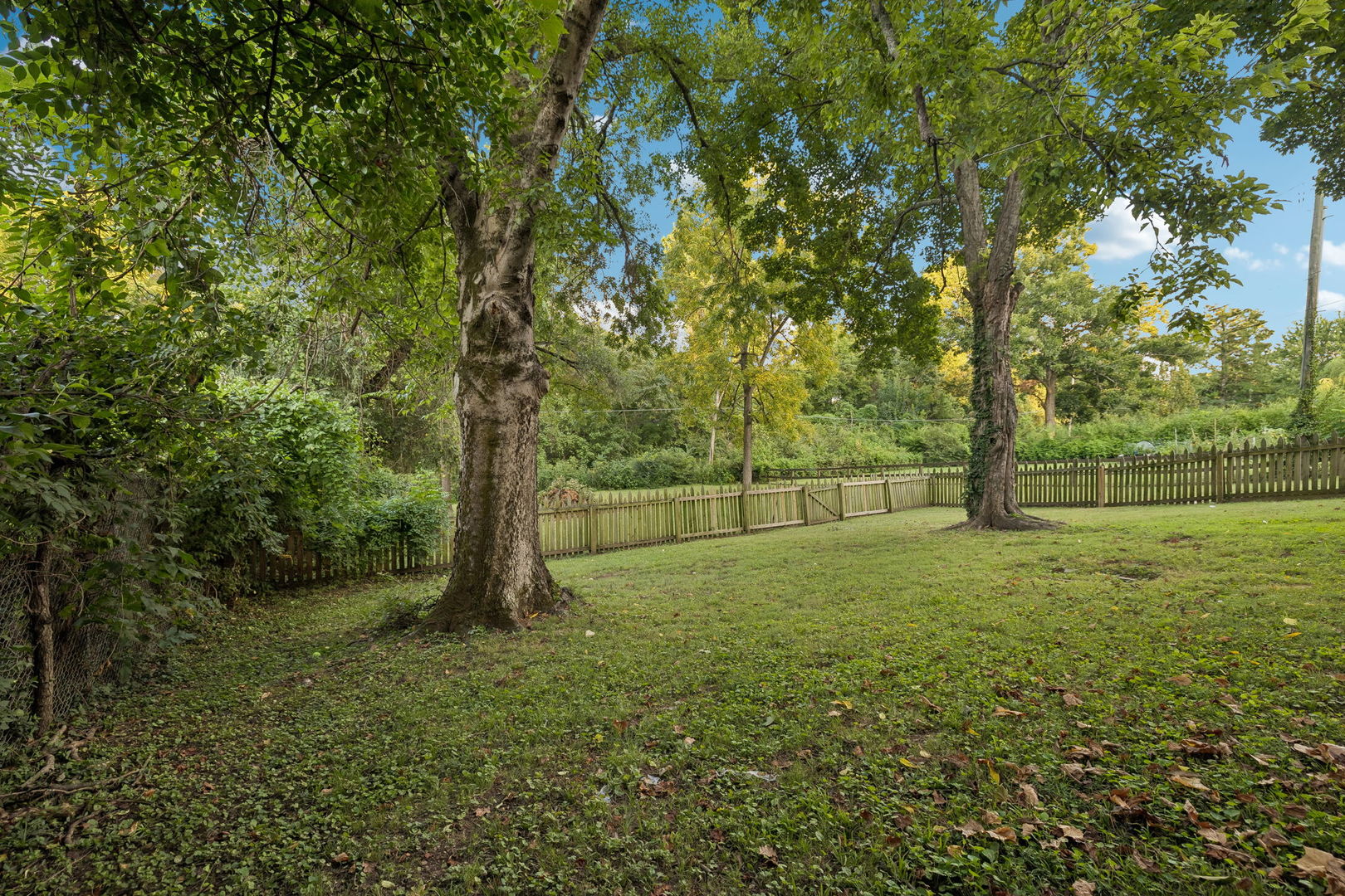 3504 Pleasant Valley Road Property Photo 17