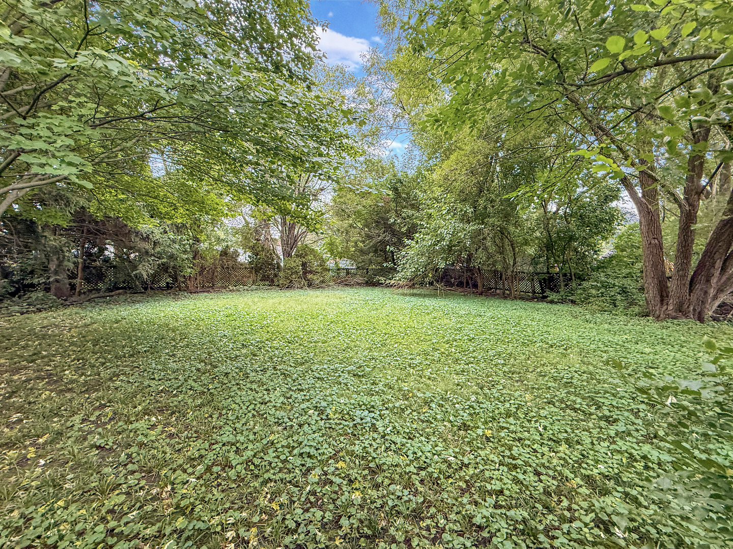 333 W Champaign Avenue Property Photo 11