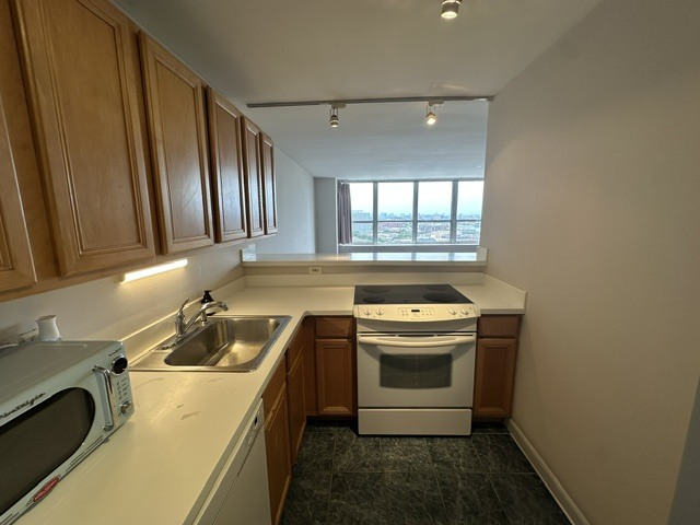 655 W Irving Park Road 1609 Property Photo 5
