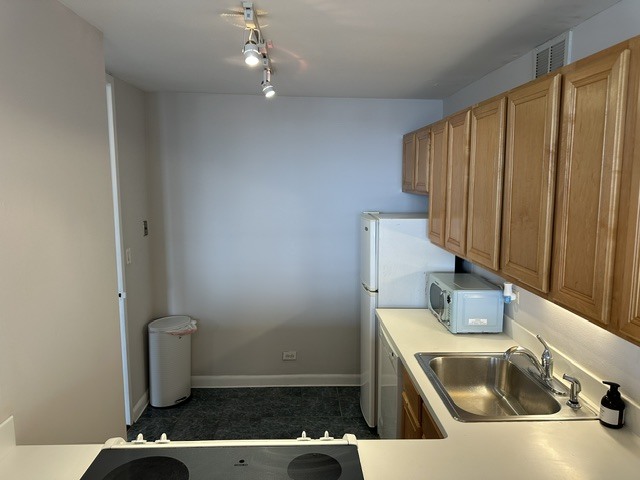 655 W Irving Park Road 1609 Property Photo 6