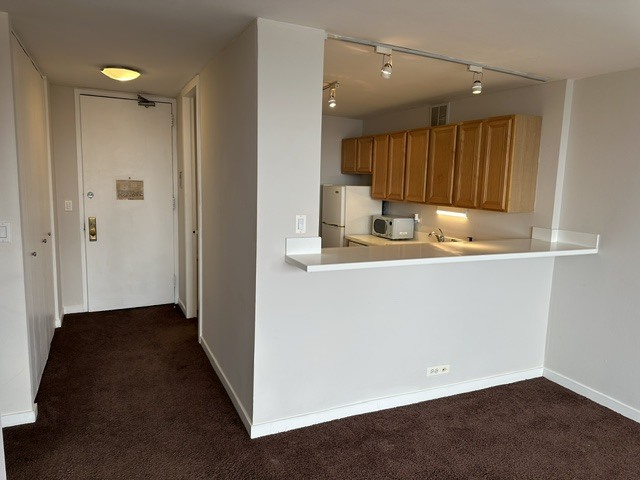 655 W Irving Park Road 1609 Property Photo 7