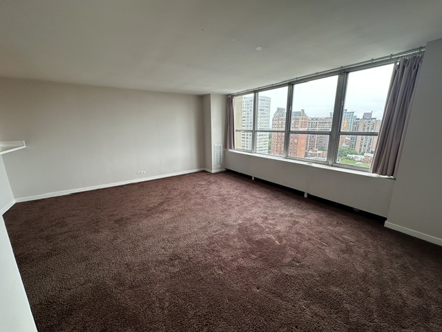655 W Irving Park Road 1609 Property Photo 9