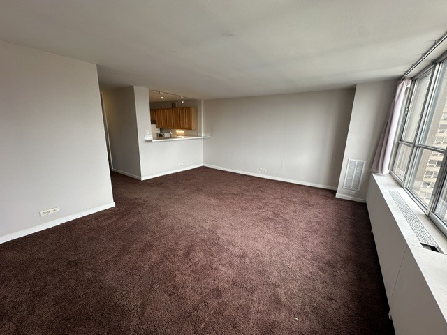 655 W Irving Park Road 1609 Property Photo 10