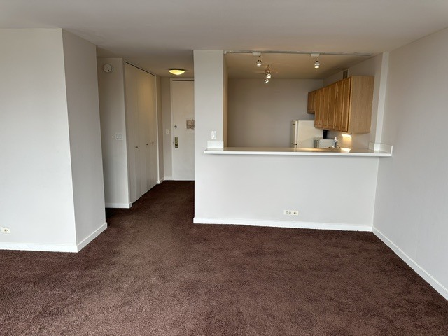 655 W Irving Park Road 1609 Property Photo 14