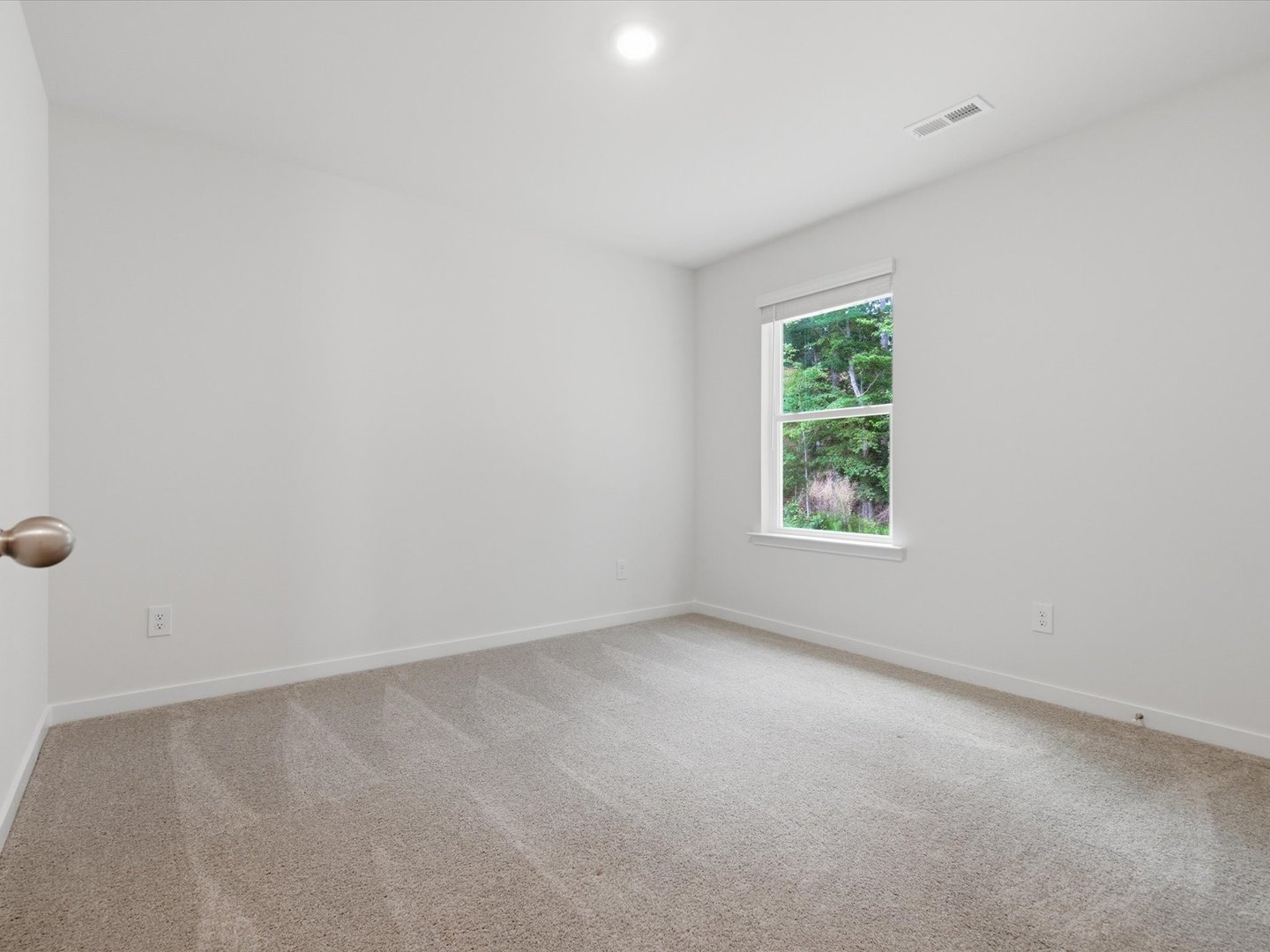 12765289 Property Photo 34